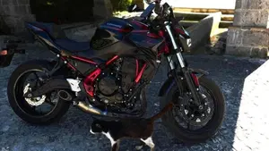 Kawasaki Z 650 Performance Akrapovic (2026)  (3)