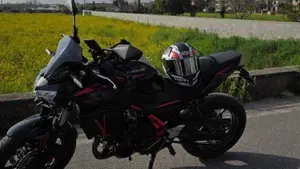 Kawasaki Z 650 Performance Akrapovic (2026)  (6)