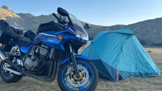 Kawasaki ZRX 1200 S (2001 - 04) usata