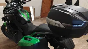 Kawasaki Versys 650 (2021 - 24)  (4)