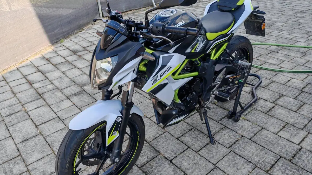 Kawasaki Z 125 Performance (2019 - 20) 