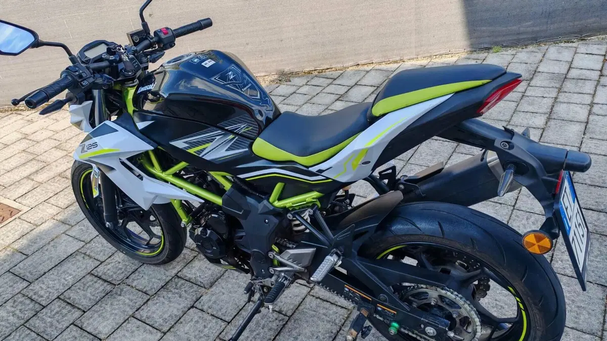 Kawasaki Z 125 Performance (2019 - 20)  (2)