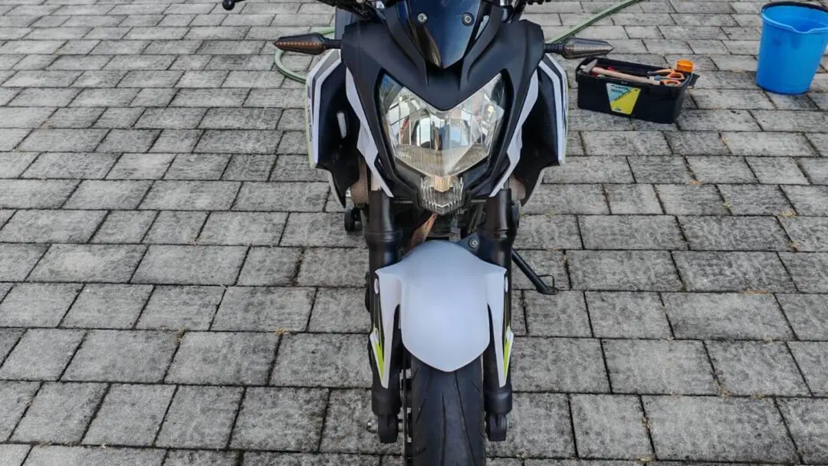 Kawasaki Z 125 Performance (2019 - 20)  (3)