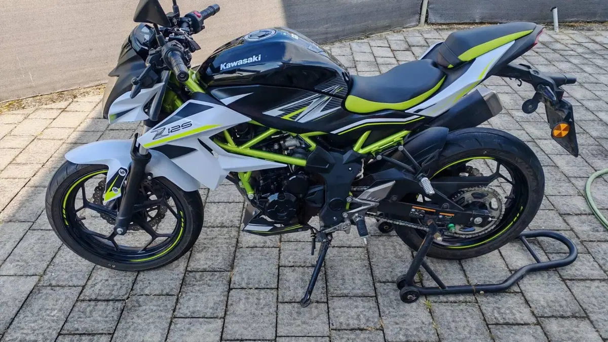 Kawasaki Z 125 Performance (2019 - 20)  (4)