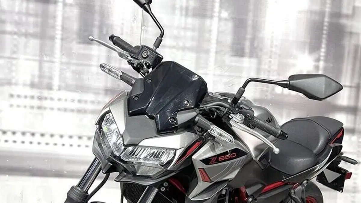 Kawasaki Z 650 (2021 - 24)  (5)