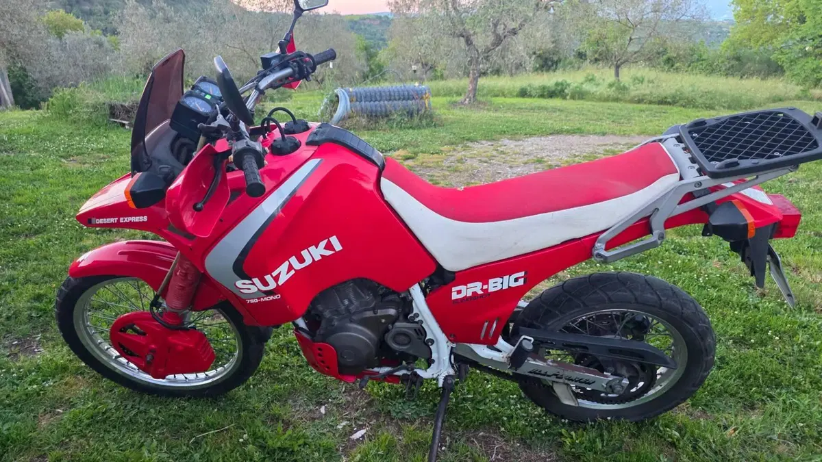 Suzuki DR Big 750 SJ (1989)  (6)