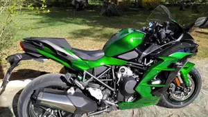 Kawasaki Ninja H2 SX SE (2018 - 20)  (3)