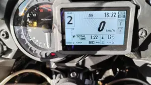 Kawasaki Ninja H2 SX SE (2018 - 20)  (4)