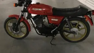 Morini   (4)