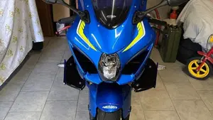 Suzuki GSX-R1000 (2017 - 18)  (10)