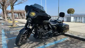 Harley-Davidson Street Glide ST (2022 - 23)  (2)