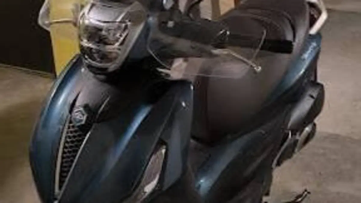 Piaggio Beverly 300 ABS-ASR (2021 - 25)  (2)