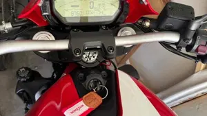 Ducati Monster 821 Stripe ABS (2015 - 17)  (4)