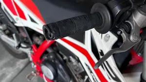 Betamotor RR 125 4T Enduro LC (2018 - 20)  (6)