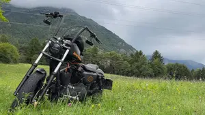 Harley-Davidson 883 Custom (2008 - 12) - XL 883C 