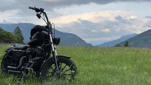 Harley-Davidson 883 Custom (2008 - 12) - XL 883C  (2)