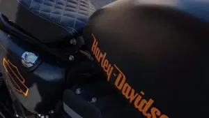 Harley-Davidson 883 Custom (2008 - 12) - XL 883C  (7)