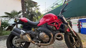 Ducati Monster 821 ABS (2014 - 17)  (7)