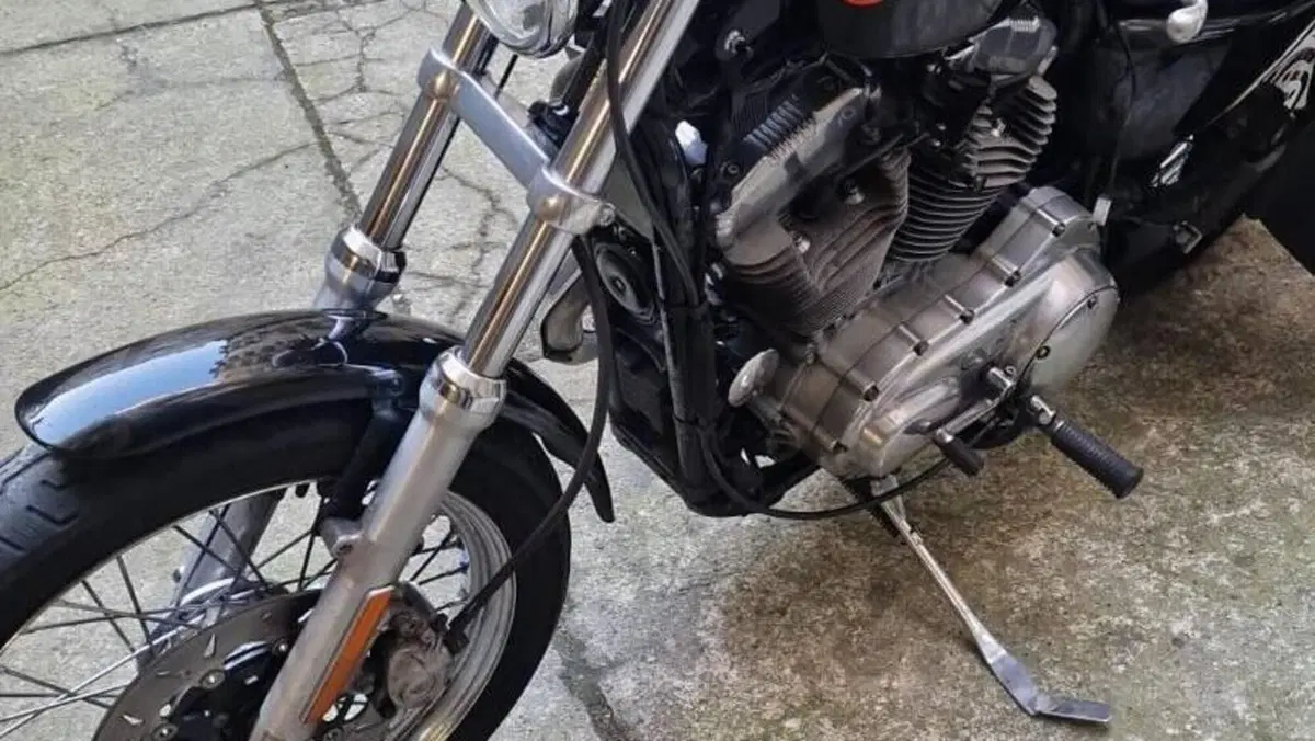 Harley-Davidson 883 (2006 - 07) - XL  (7)