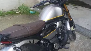 TVS Motor Ronin 250 (2024 - 26)  (2)