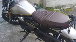 TVS Motor Ronin 250 (2024 - 26)  (3)