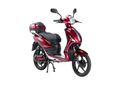  Altre moto o tipologie Elettrico - Annuncio 10007997