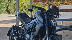 CFMOTO 300NK (2021 - 26)  (3)