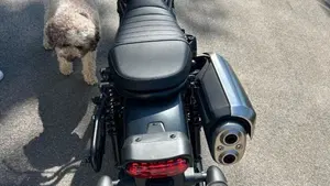 Honda CL500 (2023 - 24)  (3)