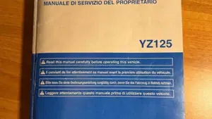 Yamaha YZ 125 (2019 - 20)  (6)