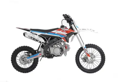  Altre moto o tipologie Pitbike - Annuncio 10008089