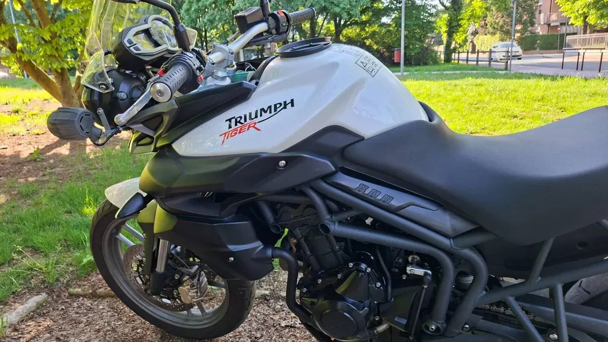 Triumph Tiger 800 ABS (2010 - 14)  (2)