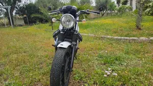 Moto Guzzi V7 Stone (2012 - 15)  (10)