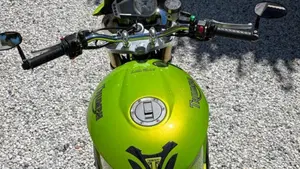 Triumph Speed Triple 1050 (2005 - 11)  (4)
