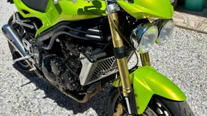 Triumph Speed Triple 1050 (2005 - 11)  (5)