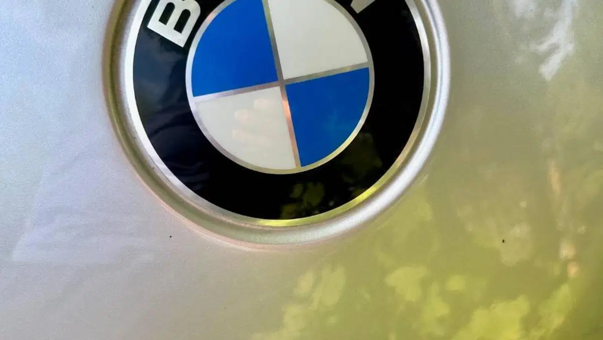 Bmw R 1150 GS ABS (1999 - 03)  (3)