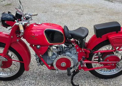 Moto Guzzi FALCONE TIPO SPORT - Annuncio 10008434