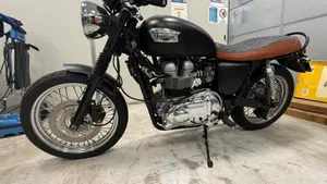 Triumph Bonneville 800 (2000 - 01)  (2)