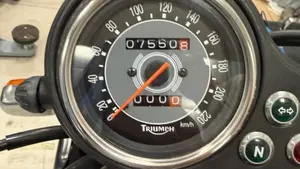Triumph Bonneville 800 (2000 - 01)  (5)