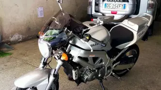 Suzuki SV 650 (2003 - 06)