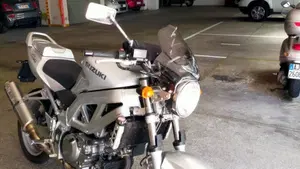 Suzuki SV 650 (2003 - 06)  (3)
