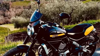 Ducati Scrambler 800 Full Throttle (2017 - 21) usata