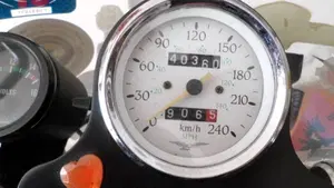 Moto Guzzi California Stone Metal (2001 - 06)  (15)