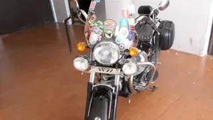 Moto Guzzi California Stone Metal (2001 - 06)  (19)