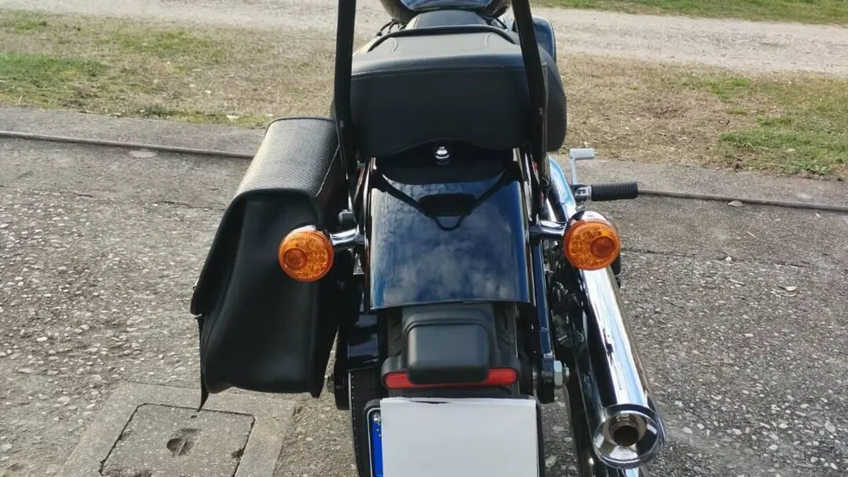 Harley-Davidson Softail Standard (2020) - FXST  (2)