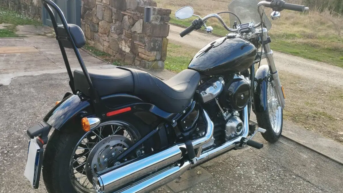 Harley-Davidson Softail Standard (2020) - FXST  (3)
