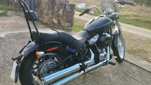 Harley-Davidson Softail Standard (2020) - FXST  (3)