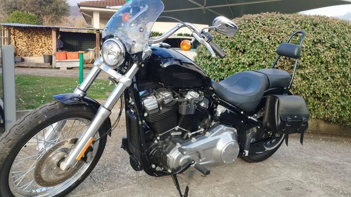 Harley-Davidson Softail Standard (2020) - FXST  (4)