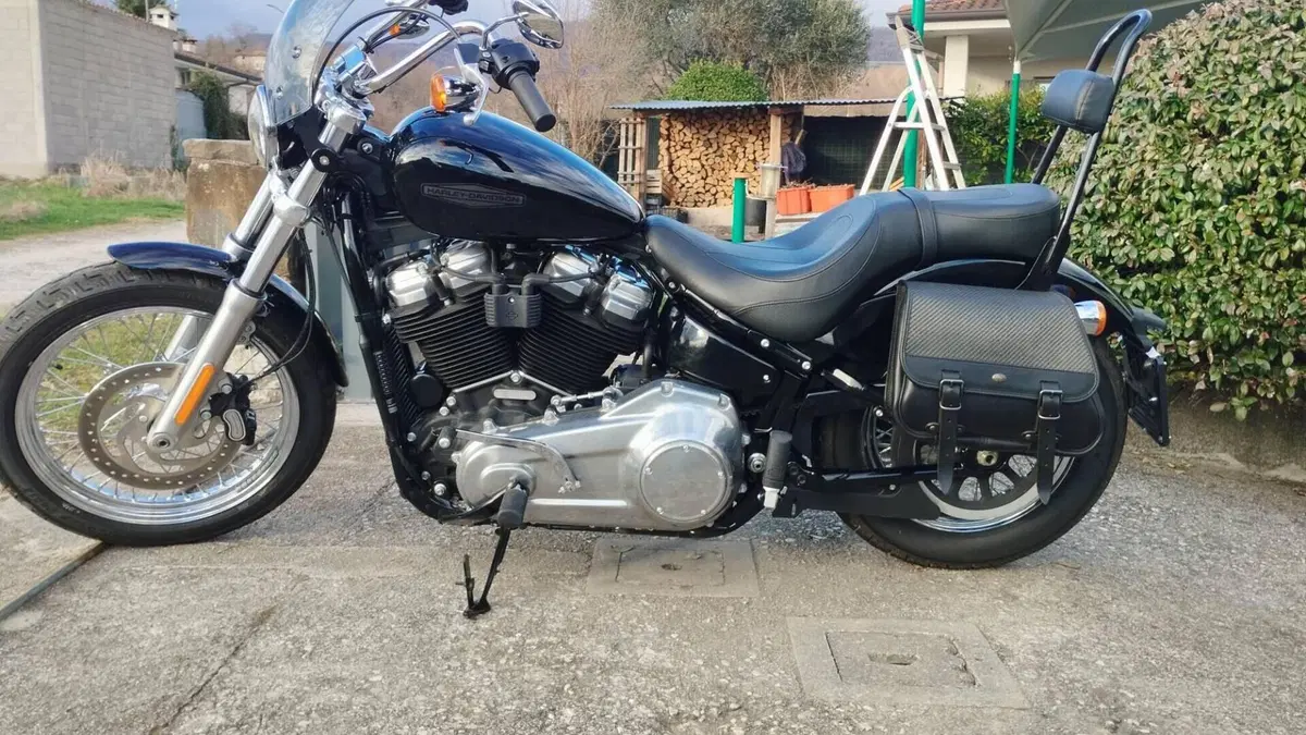 Harley-Davidson Softail Standard (2020) - FXST  (5)