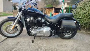 Harley-Davidson Softail Standard (2020) - FXST  (5)