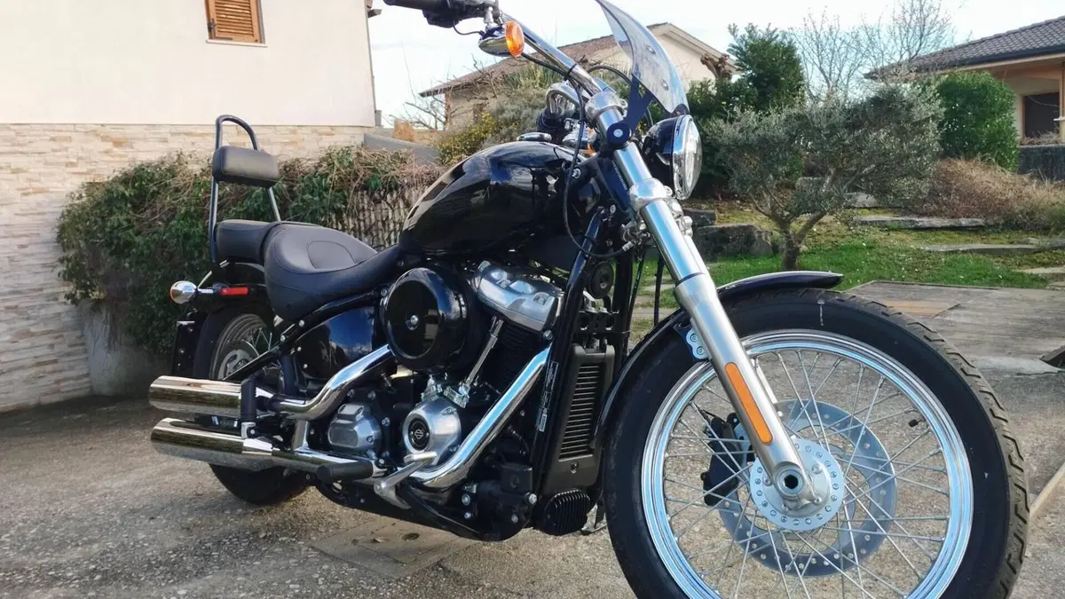 Harley-Davidson Softail Standard (2020) - FXST  (8)